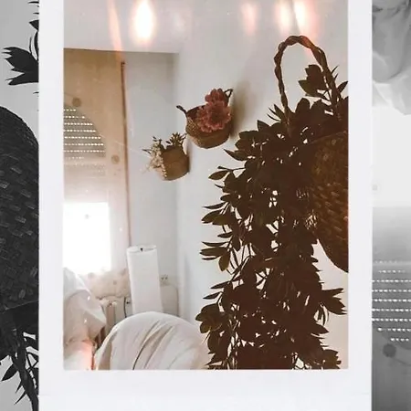 Del Pirineo * Sabiñánigo