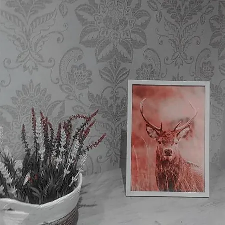 Del Pirineo Sabiñánigo