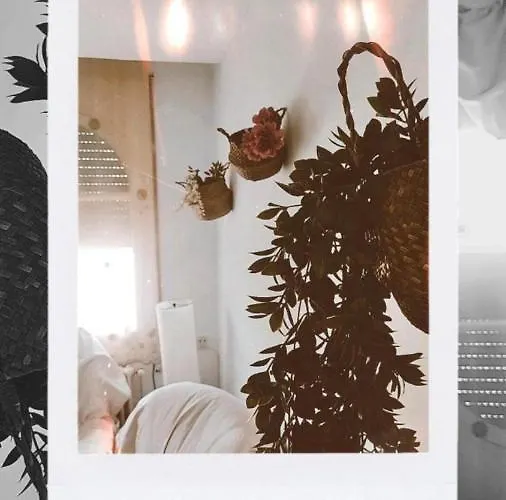 Del Pirineo * Sabiñánigo